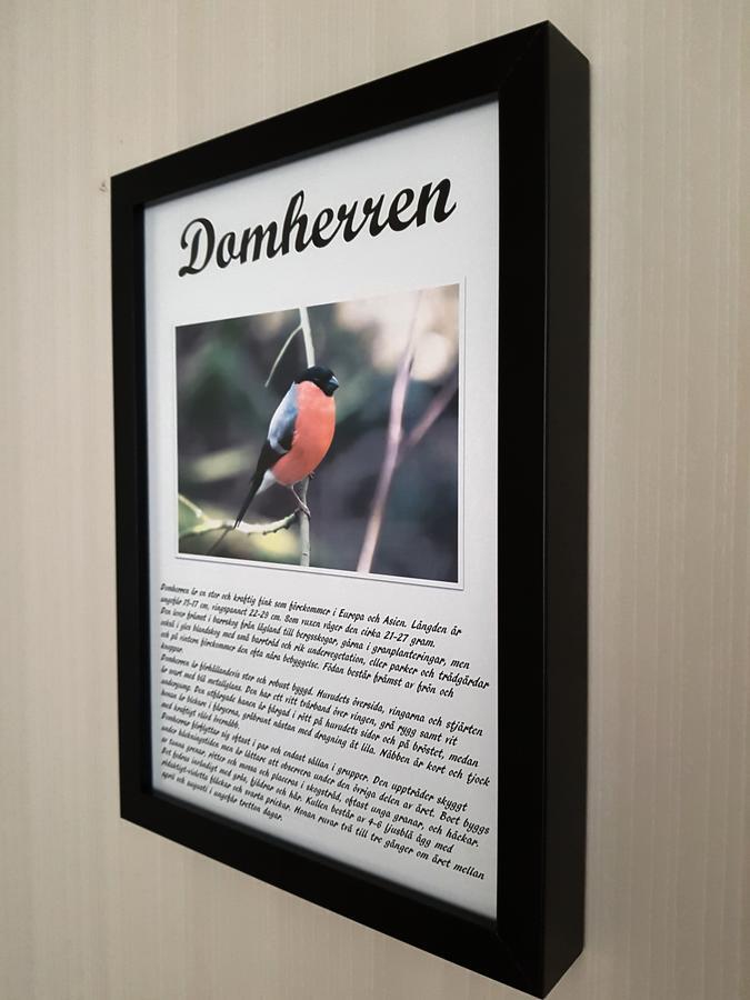 Takern Vandrarhem Svanshals Extérieur photo