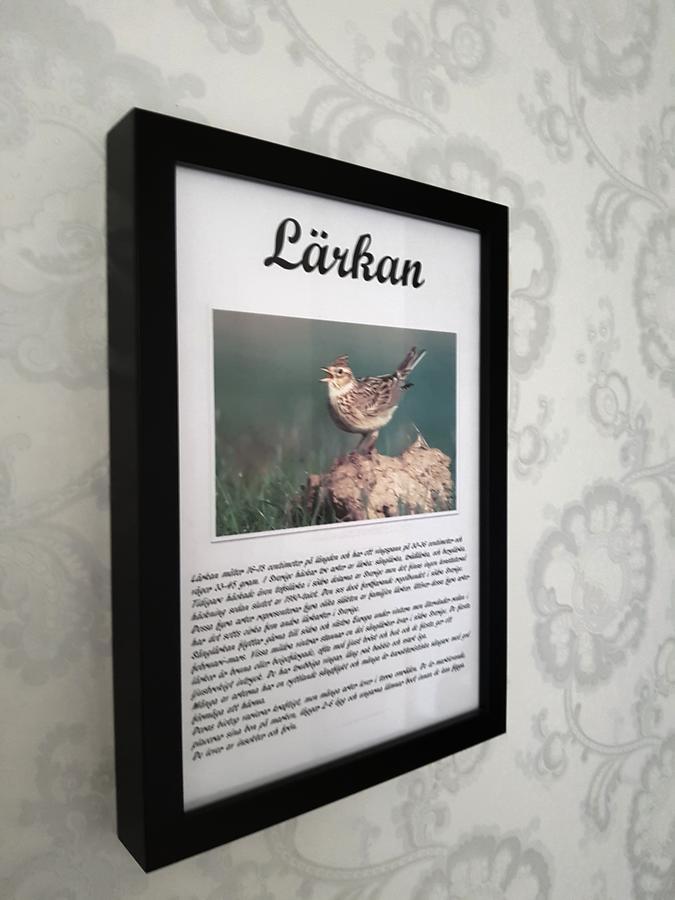 Takern Vandrarhem Svanshals Extérieur photo
